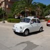 Montevago 2010 (225)